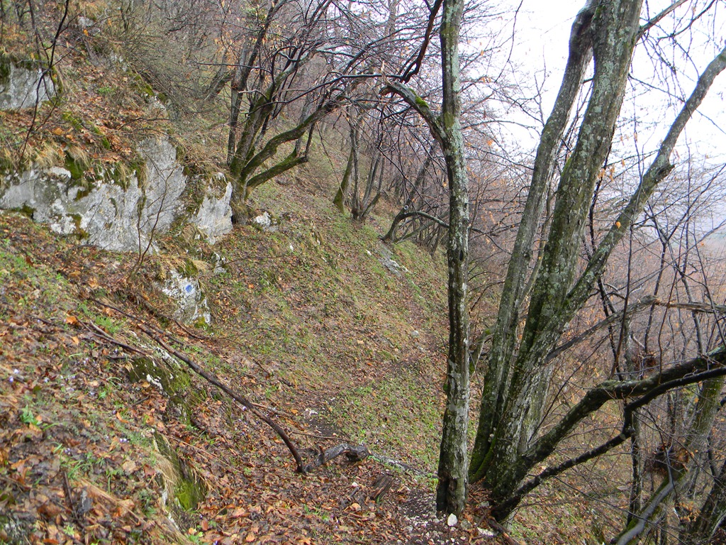 [DSCN78203.jpg]