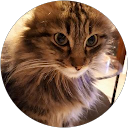 Image Google de Christine Disa