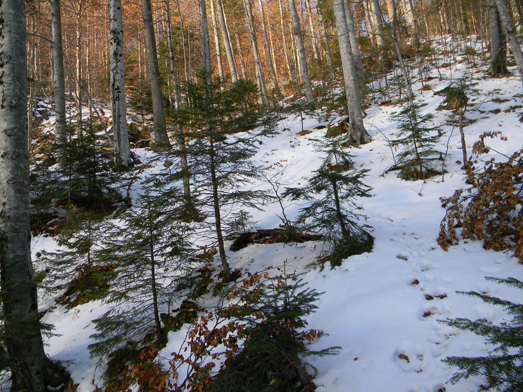 [DSCN66173.jpg]