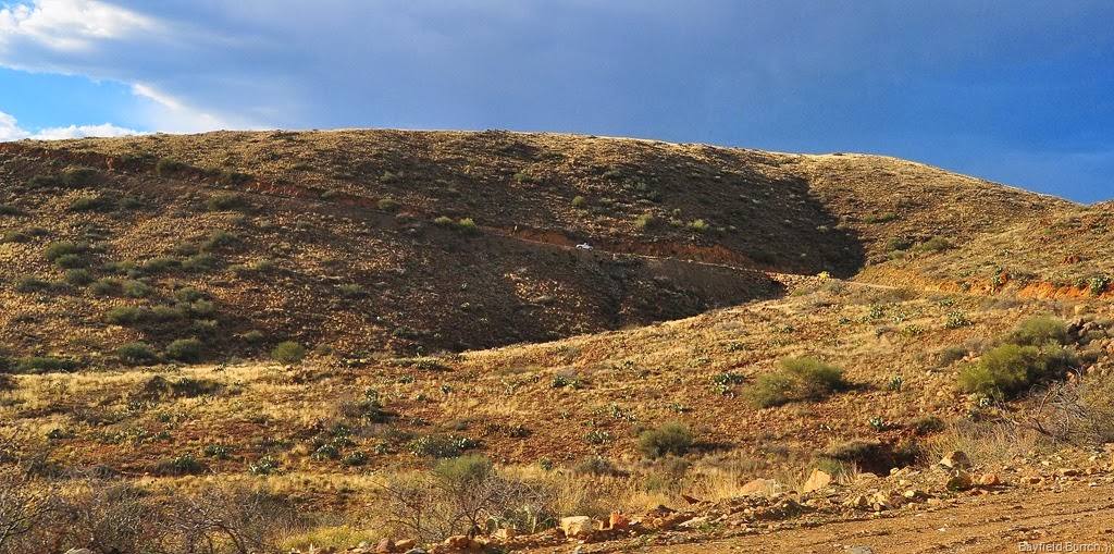 [DSC_0255%255B4%255D.jpg]