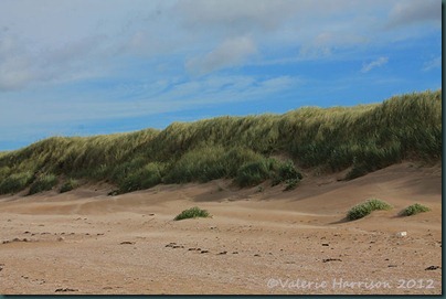 16-dunes
