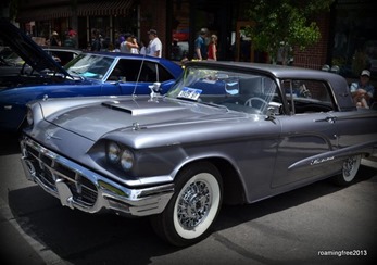 Nice Thunderbird - different color!