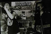 Citizen Fish
