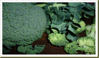 Ricciarelle di kamut con broccoli, cipollotto e salsiccia (1)