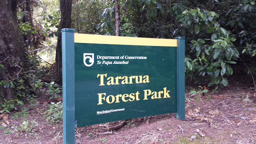 Tararua Forest Park