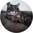 Image Google de Elodie LIGNERES