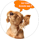 Image Google de Suzy Pichot