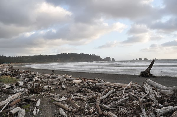 DSC_4556.JPG DSC_4556.JPG