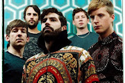 Foals