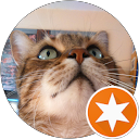 Image Google de Cat