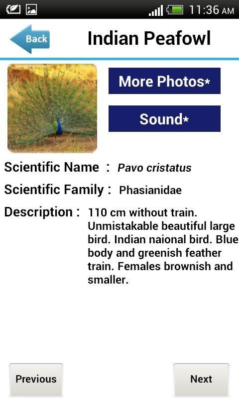 Indian Birds Screen 3