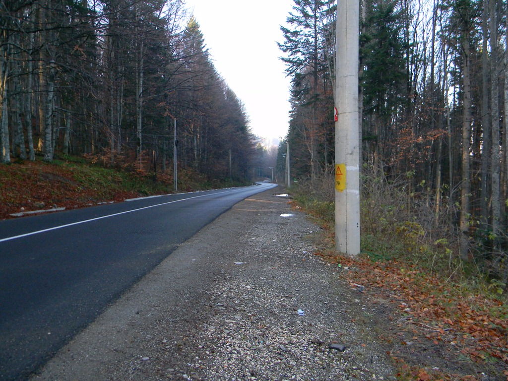 [DSCN05303.jpg]