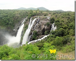 SueReno_Shivanasamudra Falls 1