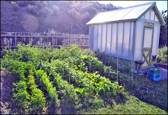 14Aug14greenhouse