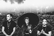PVRIS