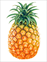 c0 Pineapple