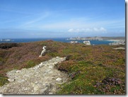 IMG_5072 IMG_5072