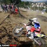 By Alessandra Tommei