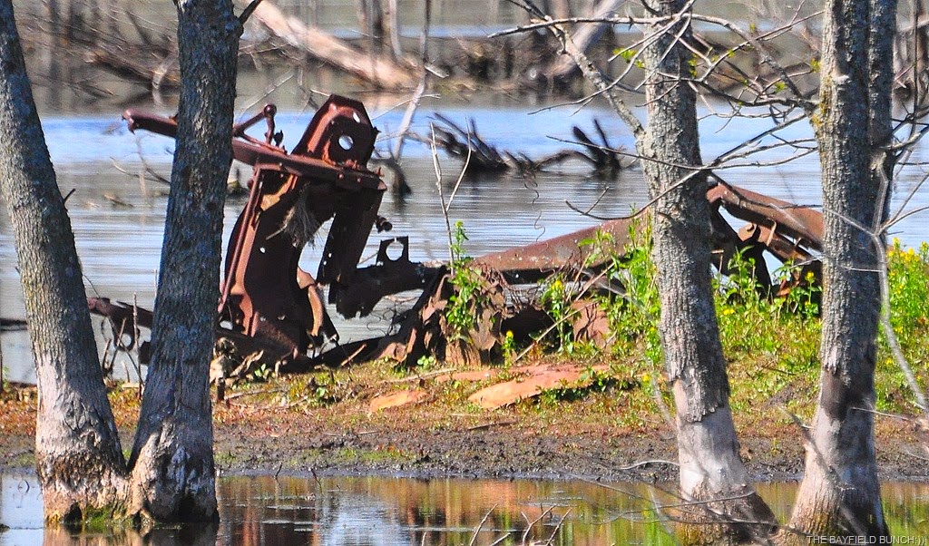 [DSC_0017%255B14%255D.jpg]