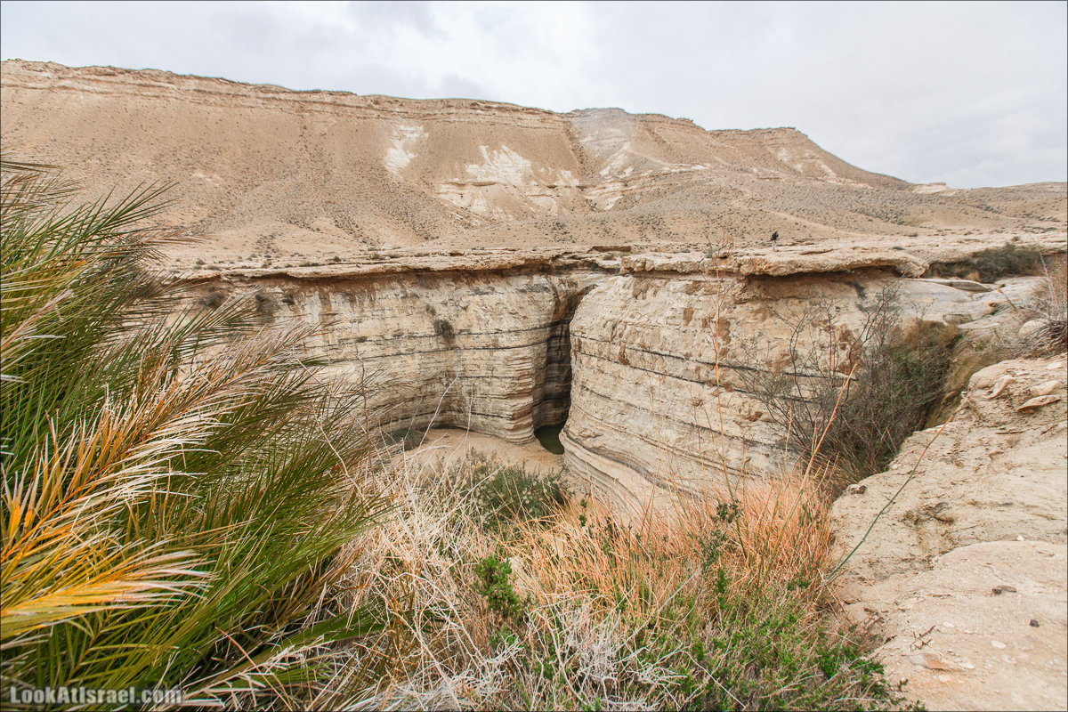 Ручей Акев и источник Эйн Акев в пустыне Негев. LookAtIsrael.com - Фото путешествия по Израилю