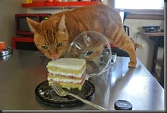 Hiro Samples the Cake