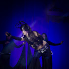 IMG_7627.jpg