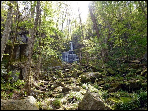 11 - 60 ft Fern Branch Falls