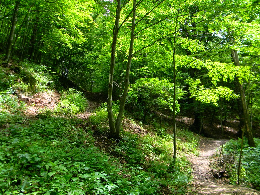 [DSCN08013.jpg]