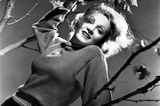 Marlene Dietrich