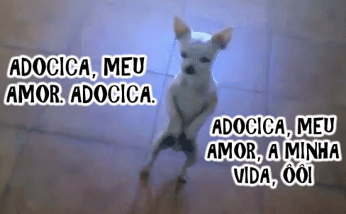 .gif