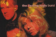 The Darling Buds
