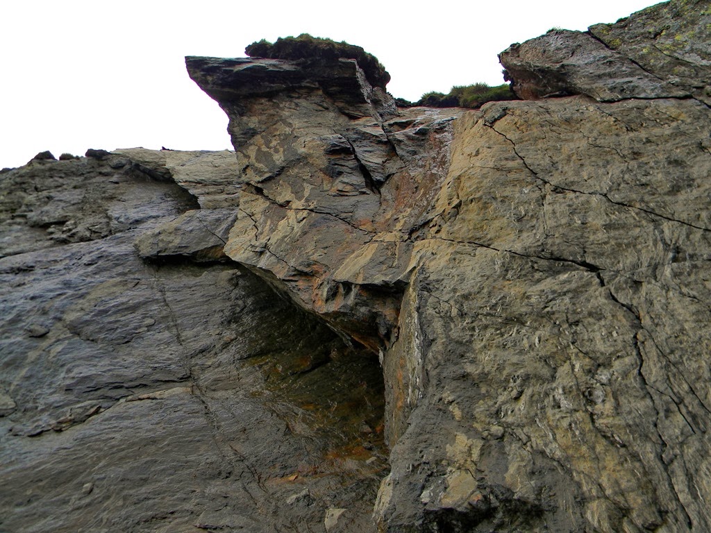 [DSCN5233%255B3%255D.jpg]