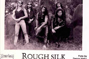 Rough Silk