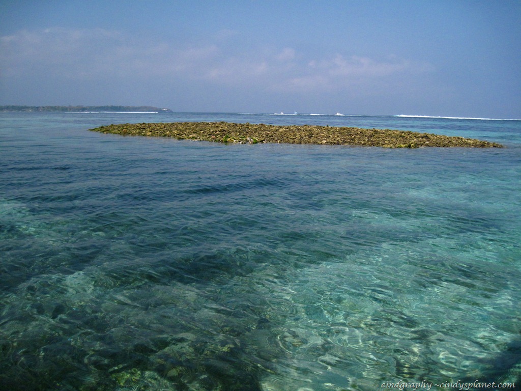[DPP1022%255B5%255D.jpg.webp]