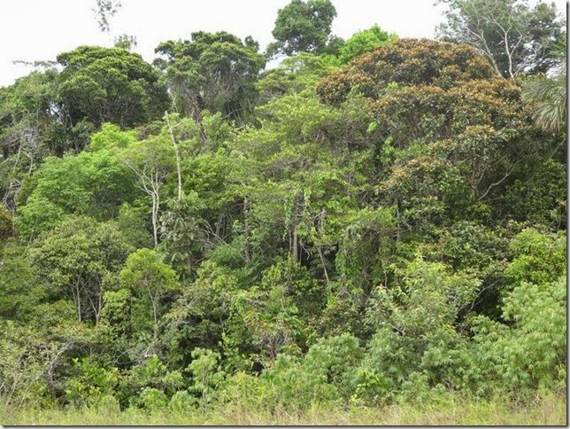 BR-319_Humaita_Manaus_Day_3_DSC05702