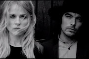 The Common Linnets