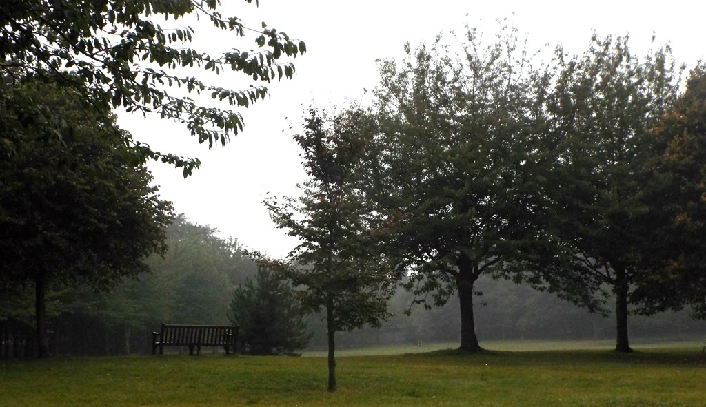 [Autumn-morning-park-bench6.jpg]