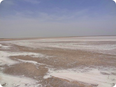 salt field