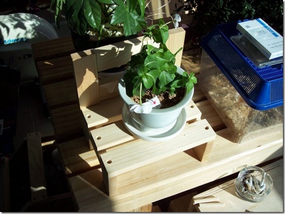 Gallery4340_2
