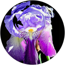 Olga Guillen profile picture