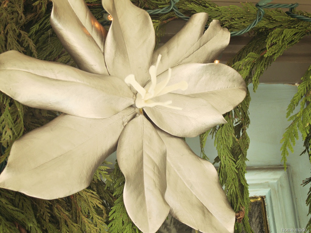 [magnolia%2520leaf%2520poinsettia%2520closeup%255B10%255D.jpg]