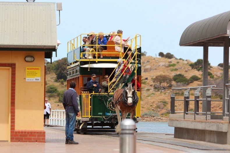 victor-harbor-horse-trams-8