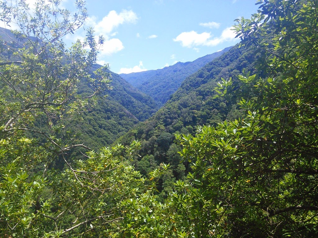 [IMG_20140808_141926%255B3%255D.jpg]