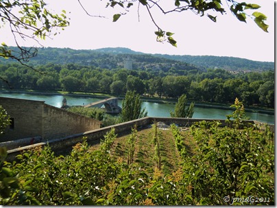 Avignon 2011 Le Pont