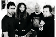 SoulFly
