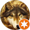 Image Google de M L