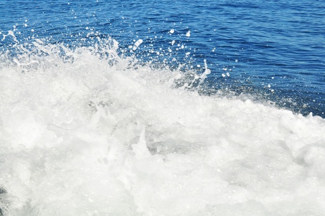 [DSC_0130%255B6%255D.jpg]