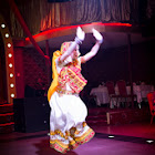 IMG_5377.jpg