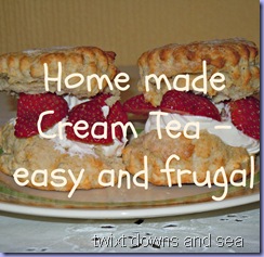 Cream tea easy and frugal from twixt downs and sea