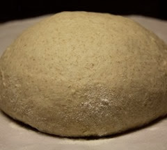 spelt-country-french-bread_113